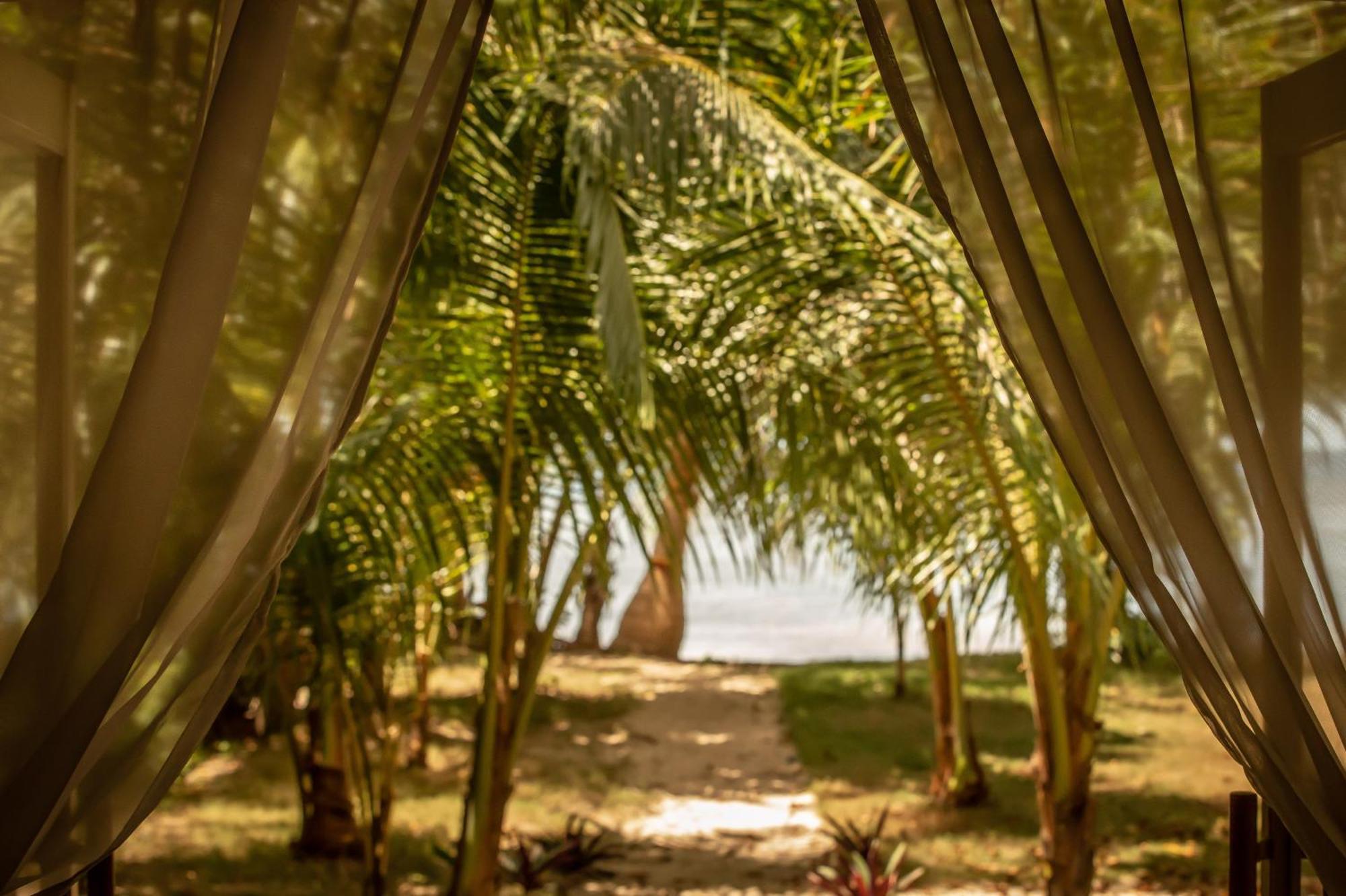 The Beach House Ocam Ocam Busuanga Dış mekan fotoğraf